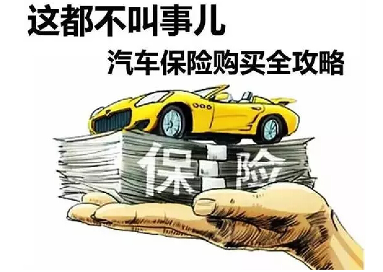 免税汽车保险购买全攻略